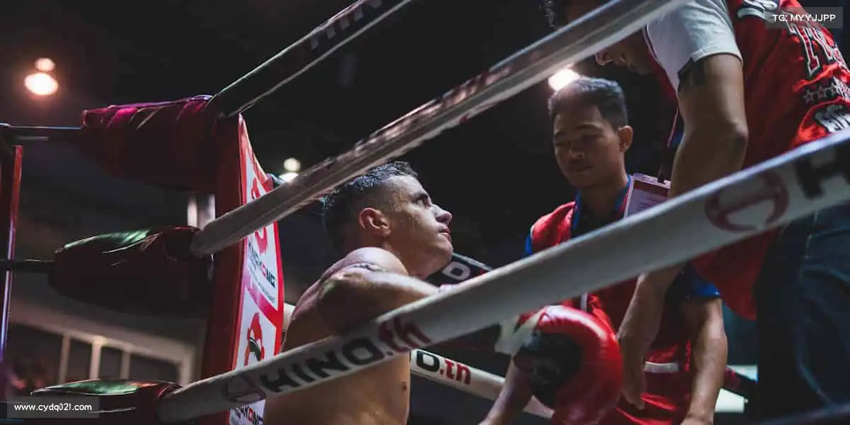 坤坤寒进桃子里歌词哪里找入口🌞 赋予影像温暖力量,让好故事陪伴每个春秋